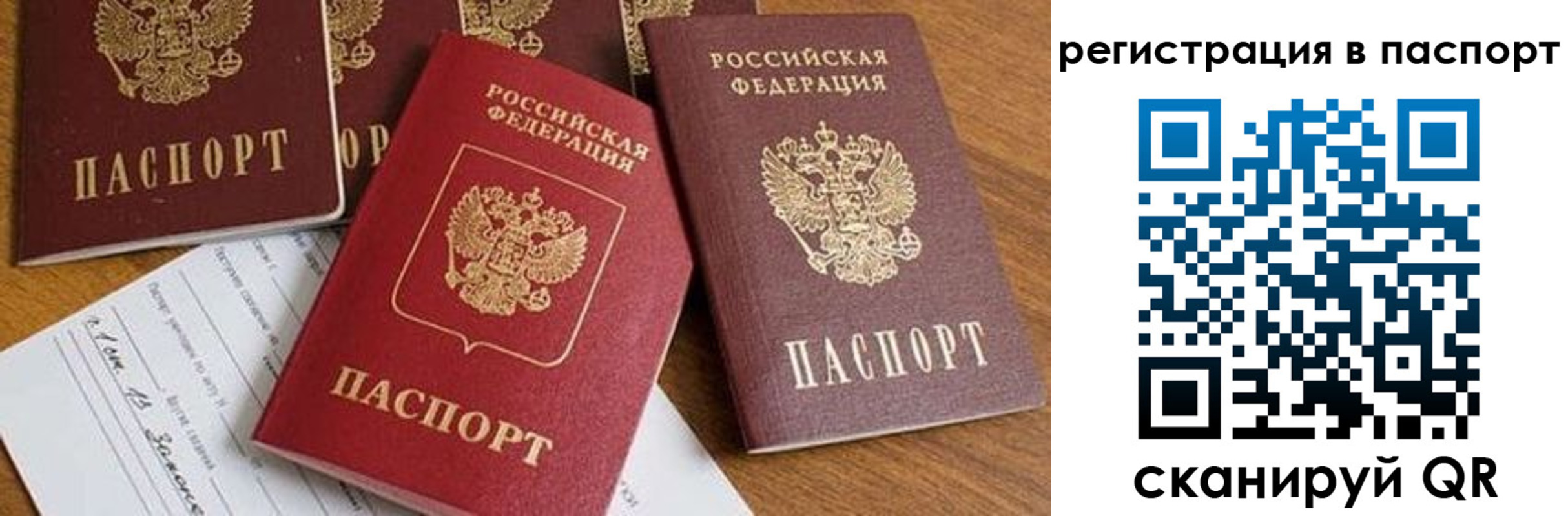 прописка в Лесозаводске